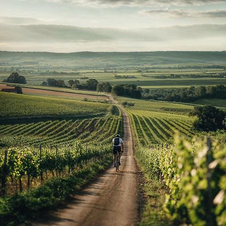 Falkensteiner Balance Resort Stegersbach - Adults Only 외부 사진 Vineyards in the Moselle region